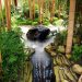 bamboo garden