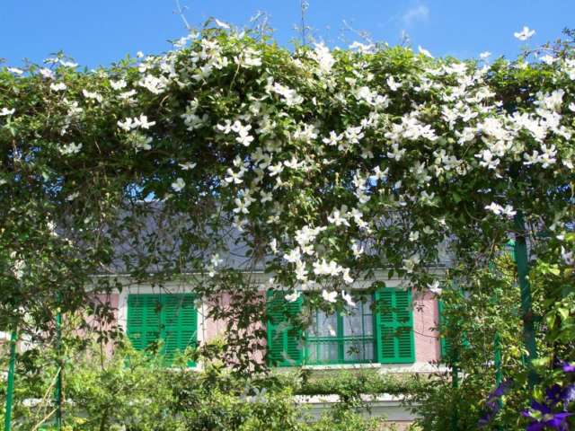 Comment Fleurir Son Balcon Ville Lierre Bambou Comment Fleurir Son Balcon Ville Lierre Bambou