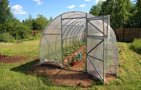 que planter dans une serre