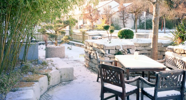 Snowy Frontyard