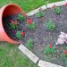 replanter-en-pot