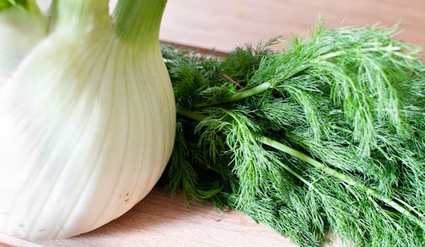 fenouil