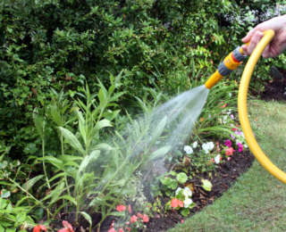 Les tâches essentielles au jardin pour cet été