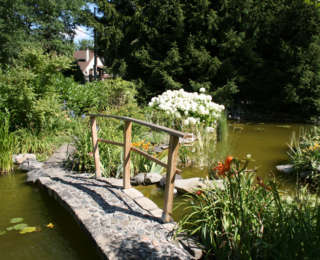 Le jardin de Patrick en seine et marne