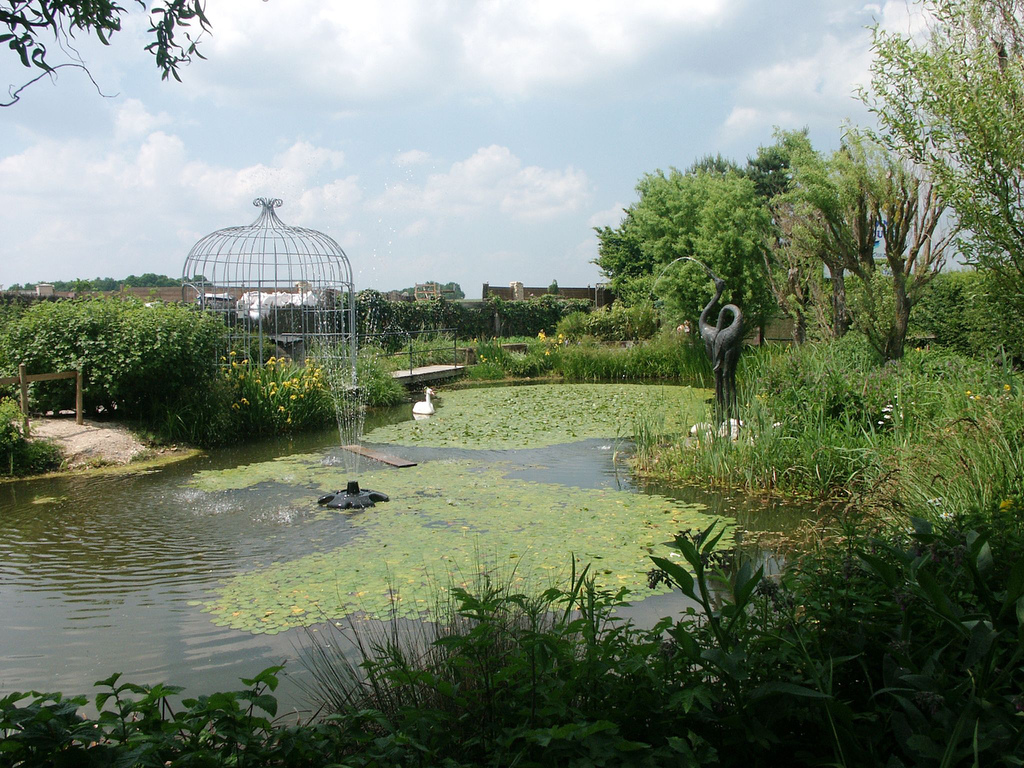 jardins aquatiques