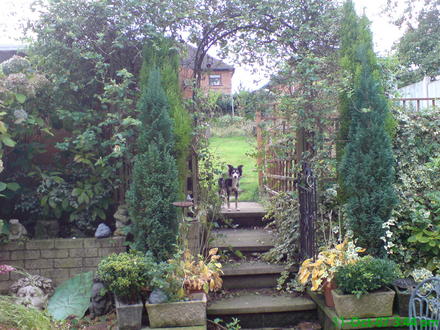 escalier de jardin