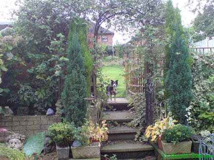 escalier de jardin