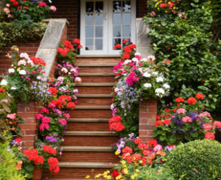 Idées d’escaliers pour jardin