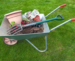 Que faire au jardin au mois de Mars