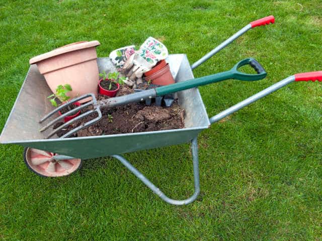 Que faire au jardin au mois de Mars