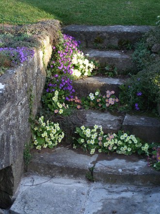 escalier de jardin