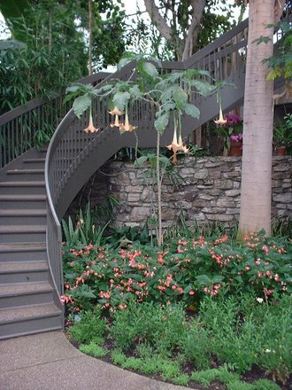 escalier de jardin