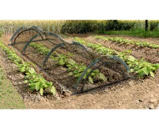 Birdnet tunnel, un tunnel de protection vraiment transparent