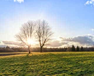 Bientôt en Mars, préparez-vous au retour du printemps !