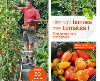 Elles sont bonnes mes tomates !