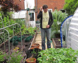 Que faire au jardin au mois de Juin