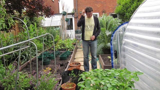 jardin-potager-en-juin