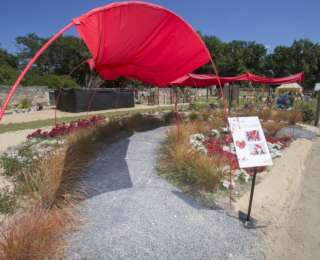 Ouverture des Jardins d’expression à Angers