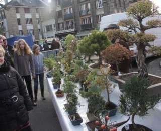 Normandie : 556ème foire aux Arbres et aux Plantes