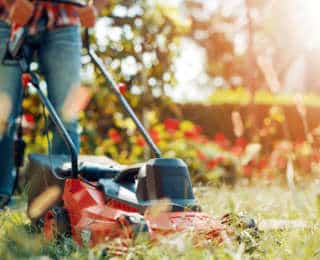 Tondeuse de jardin : thermique, électrique, autoportée… Laquelle choisir ?