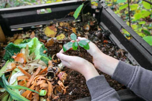 Jardinage - Composter ses déchets en appartement, c'est possible