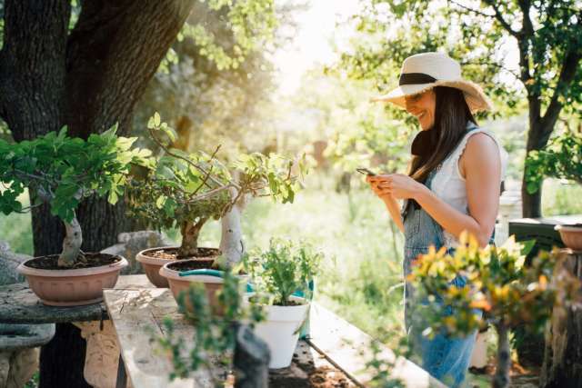 Disponibilité au jardin