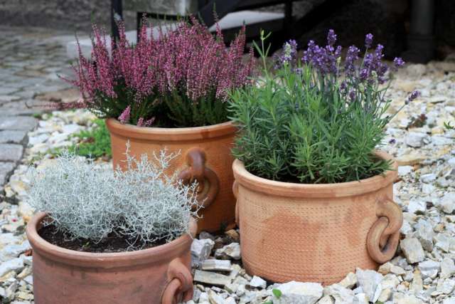 3 pots de fleurs