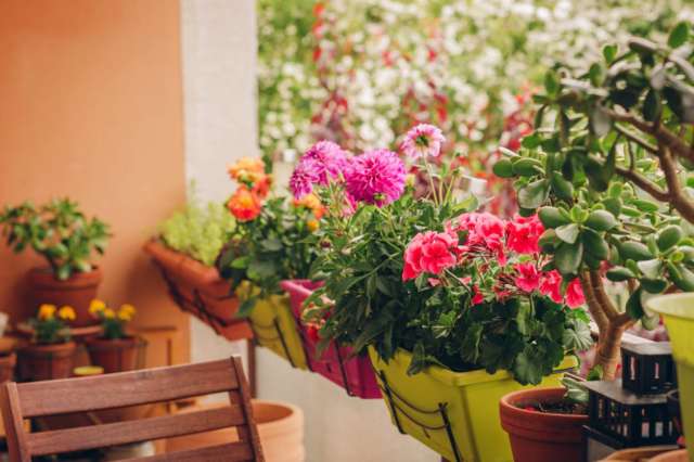 jardinière appartement