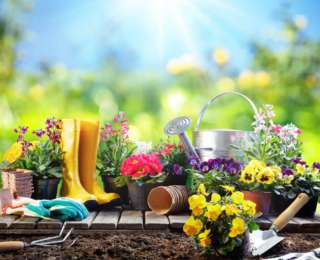 6 astuces pour l’entretien du jardin