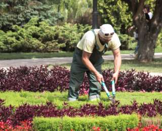 Choisir son jardinier : conseils et astuces