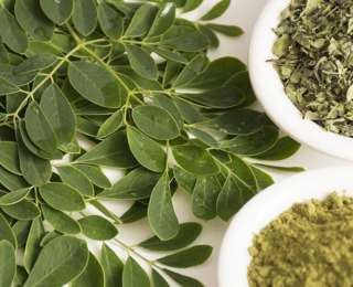 Le moringa, bienfaits et utilisations