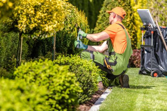 paysagiste aménagement jardin