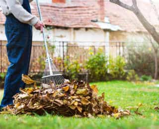 Jardin : les travaux de remise en état après l’hiver