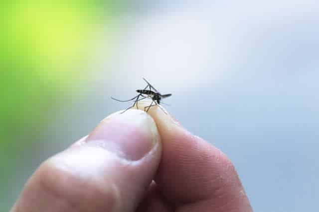 femme piquée par un moustique