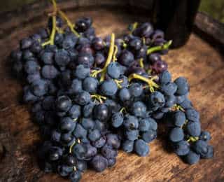 Raisin muscat bleu : 3 conseils de culture