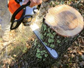 Retirer une souche dans son jardin