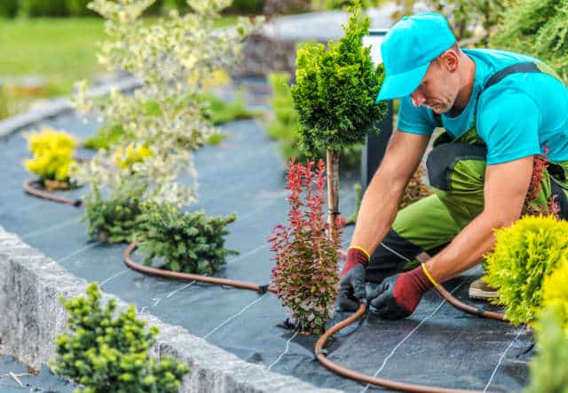 un jardinier au travail