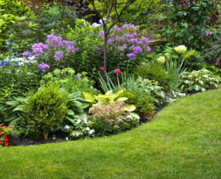 Vous n’avez pas la main verte ? Arrêtez de tuer vos plantes !